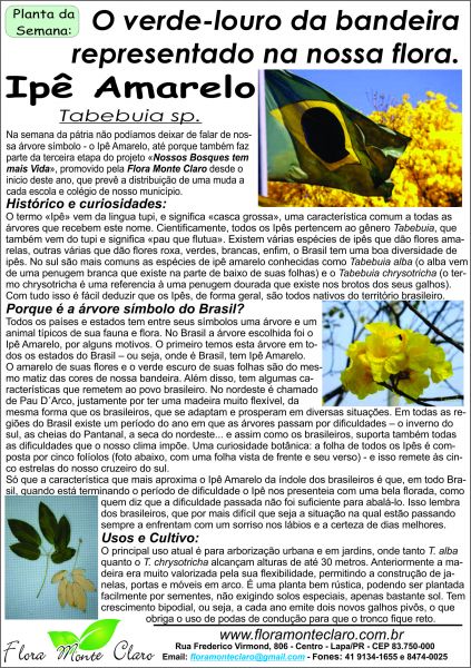ipe de jardim altura:https://www.facebook.com/FloraMonteClaroLtda ipe de jardim altura:https://www.facebook.com/FloraMonteClaroLtda